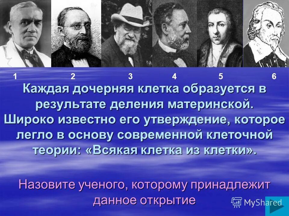 федеральный закон. закон трехсотого. закон 200. человек и закон. закон 300.