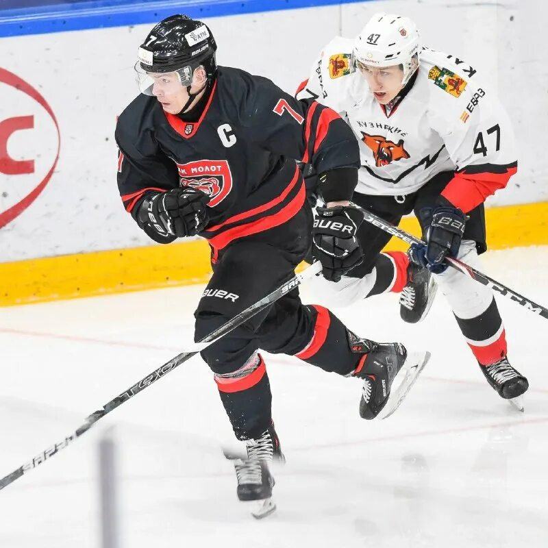 ирбис хоккей. снежные барсы мхк молот прогноз. хк ирбис п лукаши. кузнецкие медведи ирбис. ска 1946 ирбис.