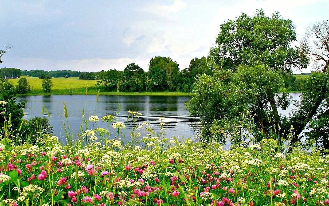 Красоты Рузского района. Летняя природа. Летний пейзаж. Пейзаж лето.