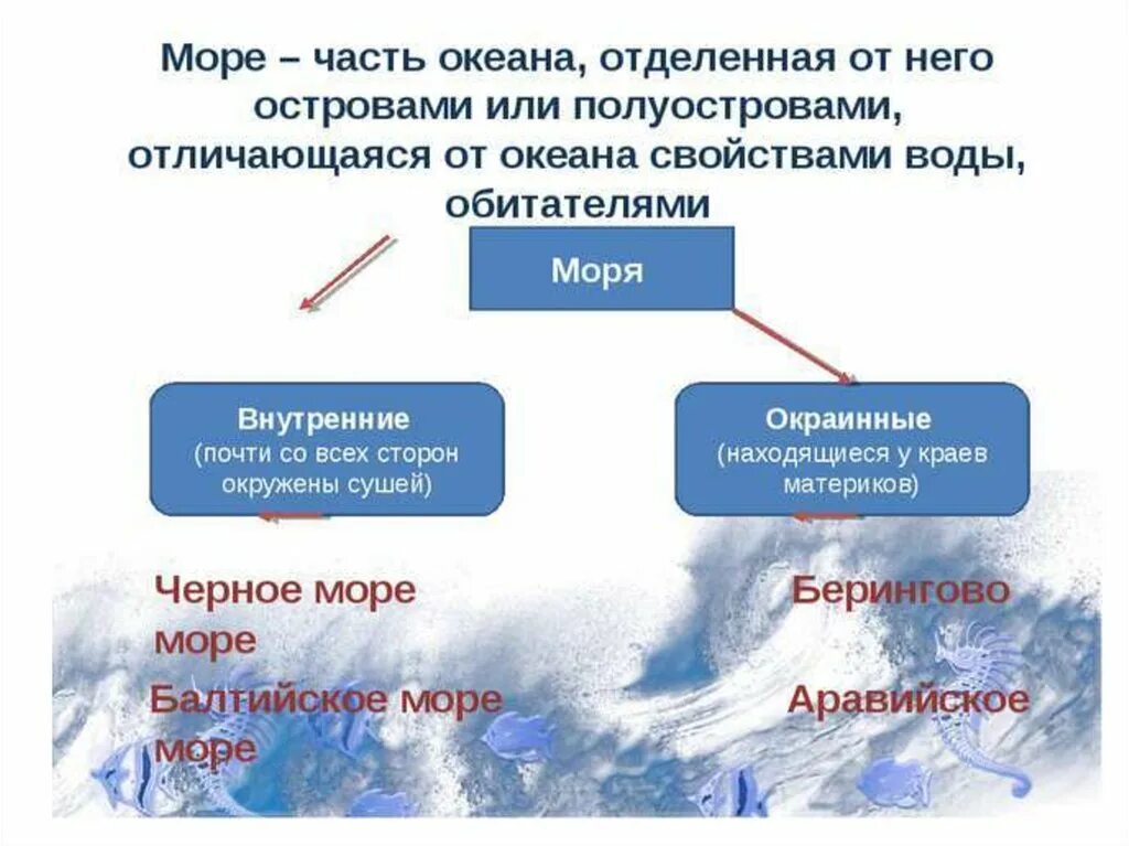 Части океана 5 класс