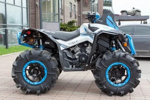 Brp renegade 1000