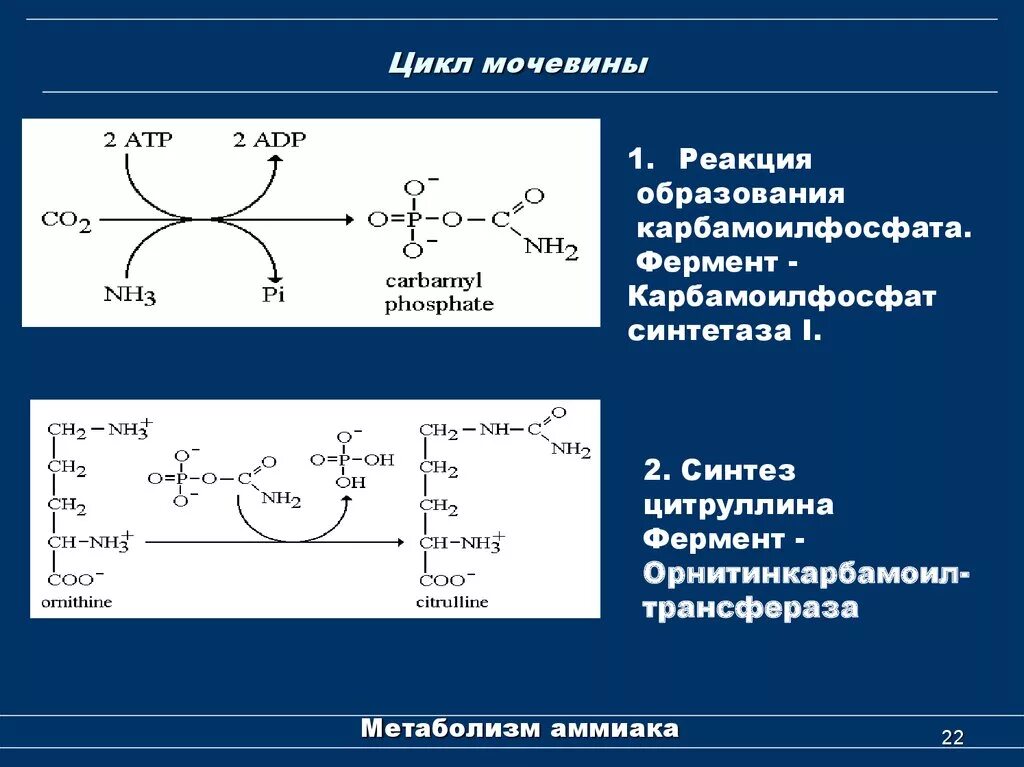 Реакции образования циклов