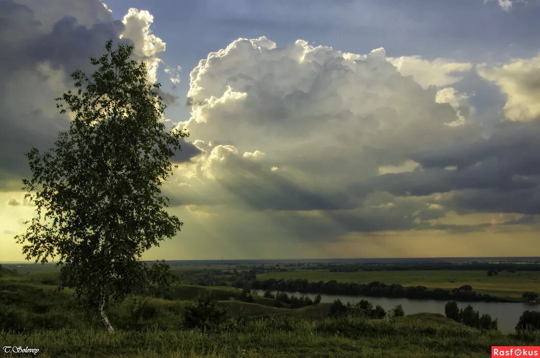 Ласковый край. Природа Есенина. Пейзаж Есенинская Русь. Родина Есенина природа. Есенин о родном крае.