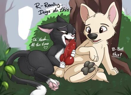 Horny lizards Warren, Taylor, and Ki conceived of and drawn by. © joi.how.....