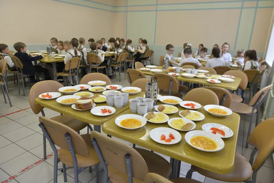 школы спб закрывают на карантин