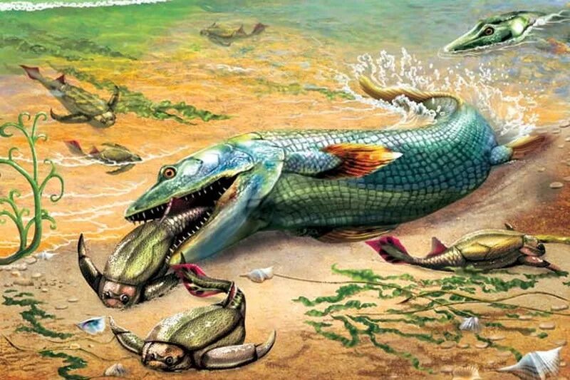 Жизнь зародилась в воде. Кистеперые рыбы на суше. Жизнь на земле зародилась в воде. Земноводные в воде дышат. Война на тихом океане 1941-1945.