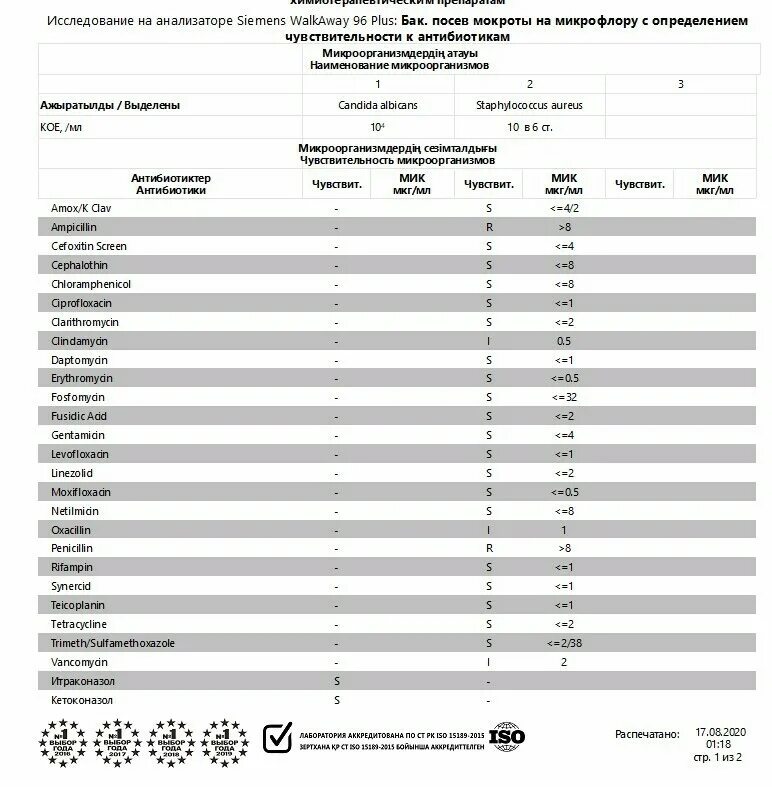 Посев мочи результат расшифровка. Бак посев мокроты расшифровка. Посев (моча) на флору с определением чувствительности к антибиотикам. Исследование мокроты на чувствительность к антибиотикам. Чувствительность к антибиотикам расшифровка бакпосев.