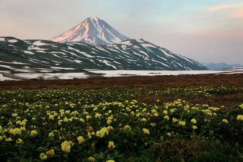 Центральная камчатка