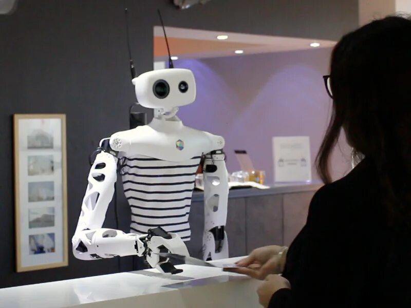Functioning robot
