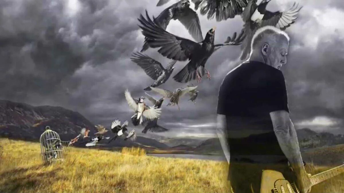David gilmour, альбом rattle that lock, 2015. Дэвид гилмор альбомы. David gilmour rattle. Gilmour rattle that lock. Gilmour rattle that lock.