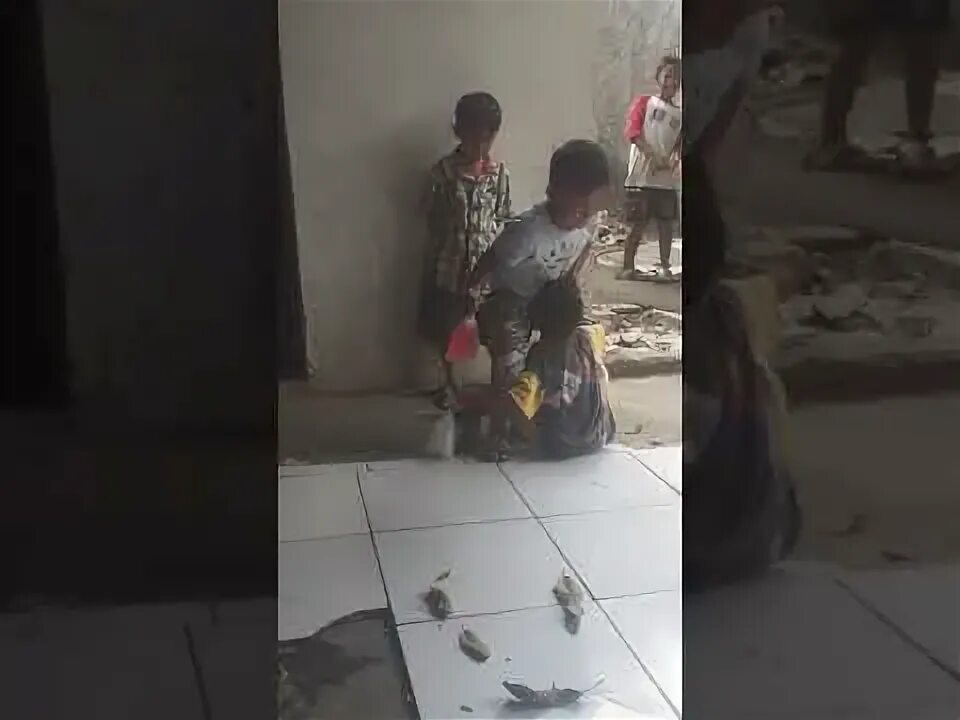 Bocil sd lagi viral. Bocil sd lagi viral. Bocil sd lagi viral. Kakak vs bocah viral. Syakira.