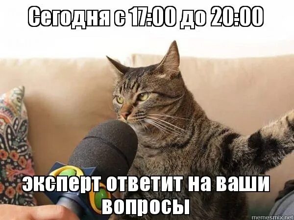 Ответ эксперта. Эксперт отвечает. Эксперт отвечает. Ньюсмейкер картинка. Сикало михаил.