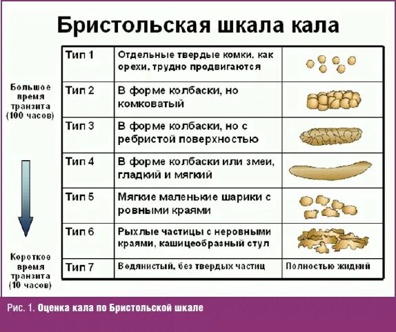 Кал сколько грамм. Бристольская шкала цвета кала. Бристольская шкала кала 6 Тип. Бристольская шкала формы стула Тип 2.