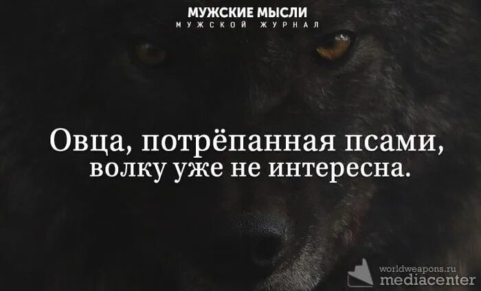 Лучше быть голодным