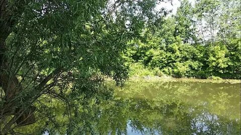 Река уршак булгаково