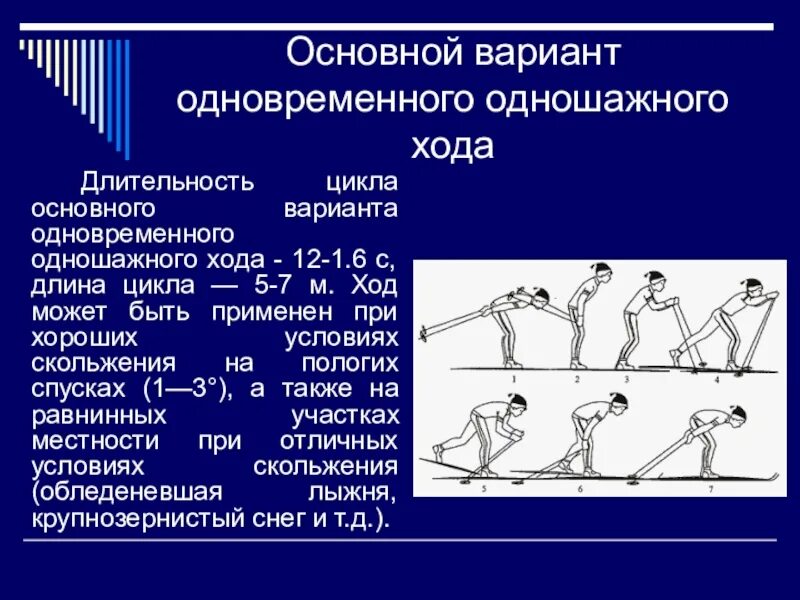 Реферат по физкультуре на тему лыжные ходы. Одновременный одношажный ход ход лыжах техника. Лыжные ходы одновременный одношажный. Основной вариант лыжи одношажный ход. Одновременный одношажный стартовый вариант.