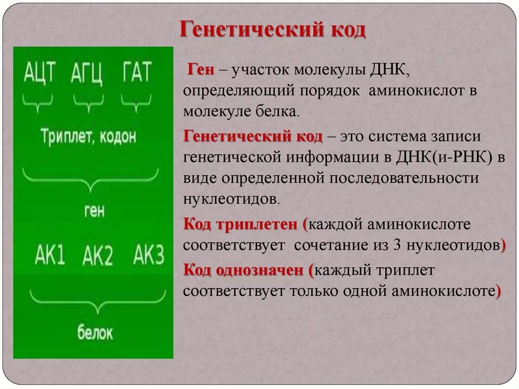 Ген генетический код. Определение генетического кода. Ген и генетический код кратко. Наследственная информация и генетический код. Ген паролей