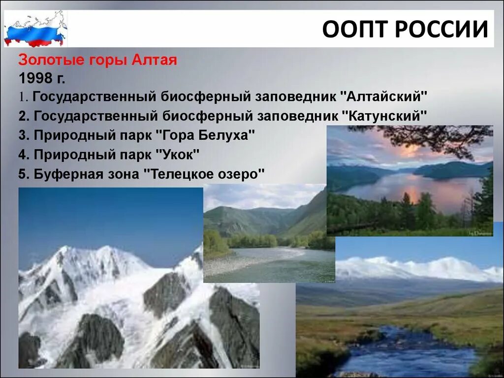 Охраняемые заповедники россии сообщение. Охраняемые территории России. ООПТ России золотые горы. Особо охраняемые природные территории РФ. Особо охраняемых природных территорий России.