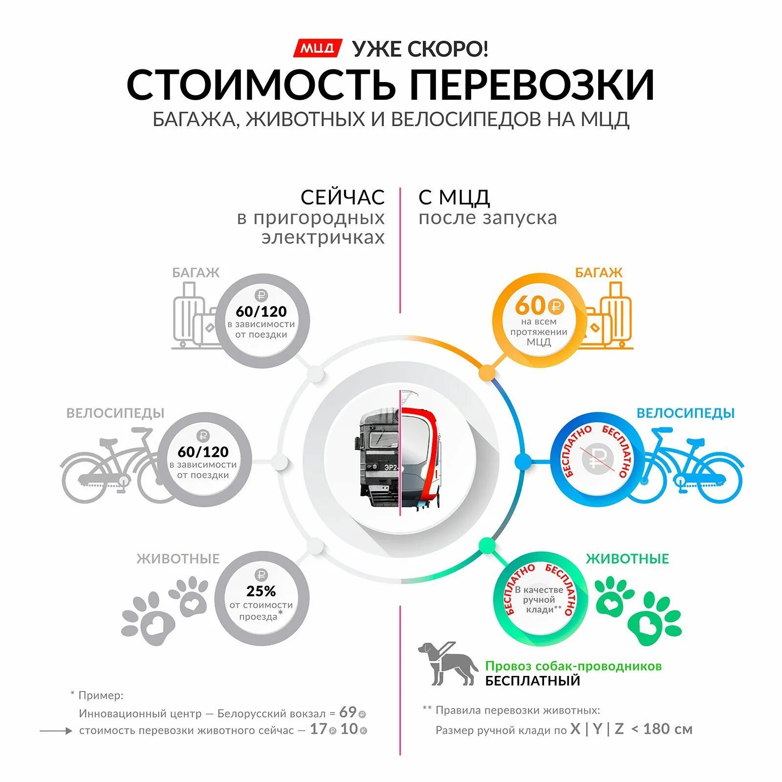 Сколько можно провезти в поезде. Провоз багажа в электричке габариты. Стоимость провоза багажа в электричке. Оплата багажа в электричке. Провоз животных в электричке стоимость.