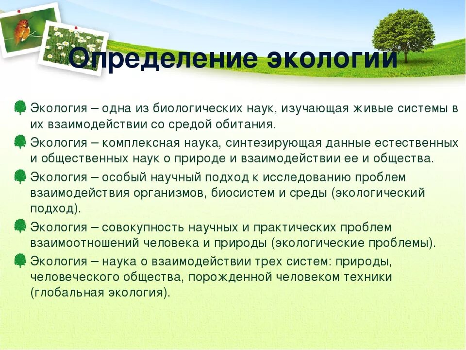 Экология определение. Экология презентация. Сообщение о экологии. Презентация экологического проекта. Экология сообщение кратко