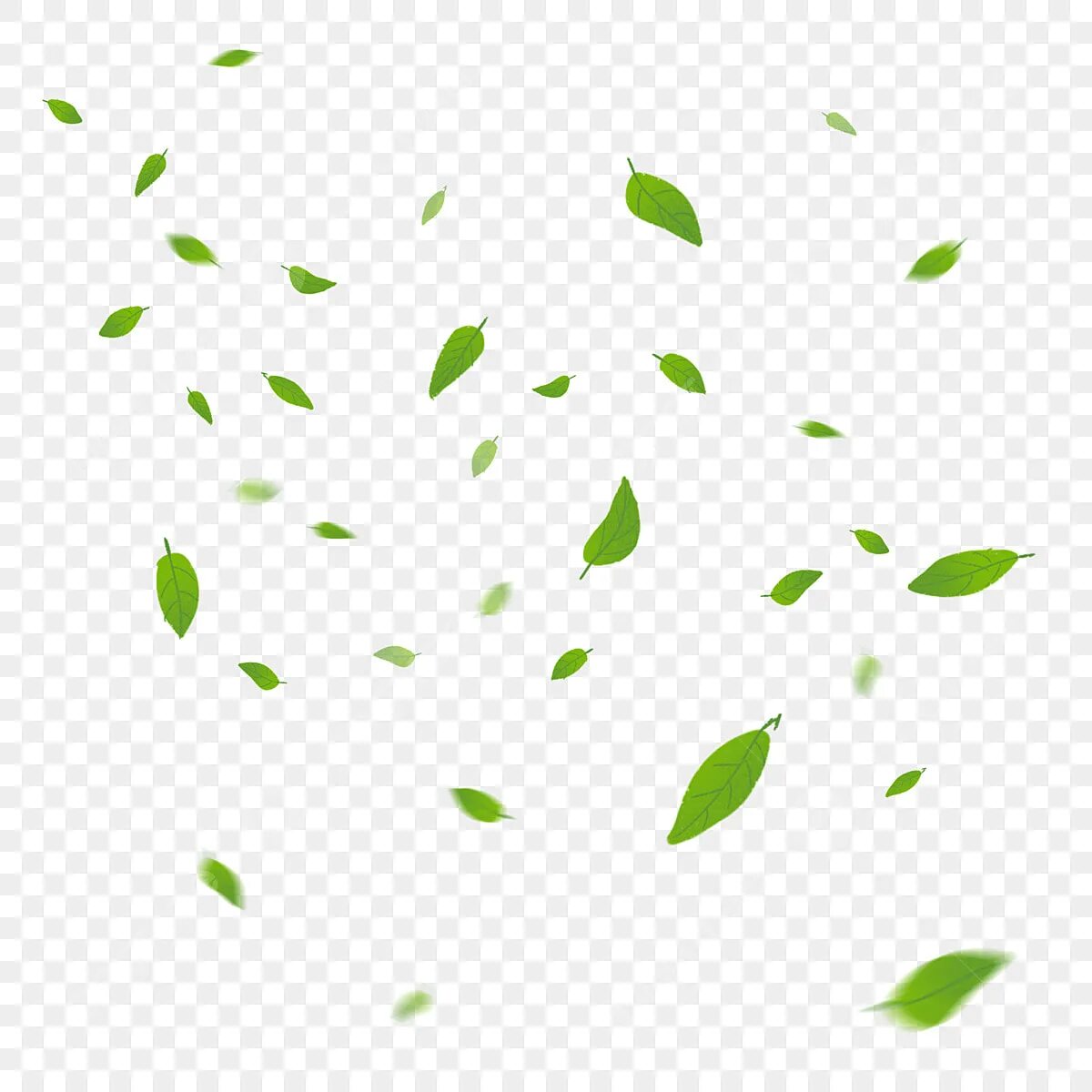 Падающие зеленые листья без фона. Лепестки зеленые без фона. Листочки падают. Падающие листья зеленые. Листики в воздухе зеленые.