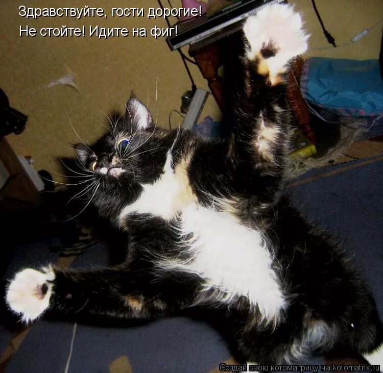 здравствуйте дорогие. надпись милости просим. здравствуйте гости дорогие. хлеб соль встреча гостей. гости дорогие хлеб да соль.