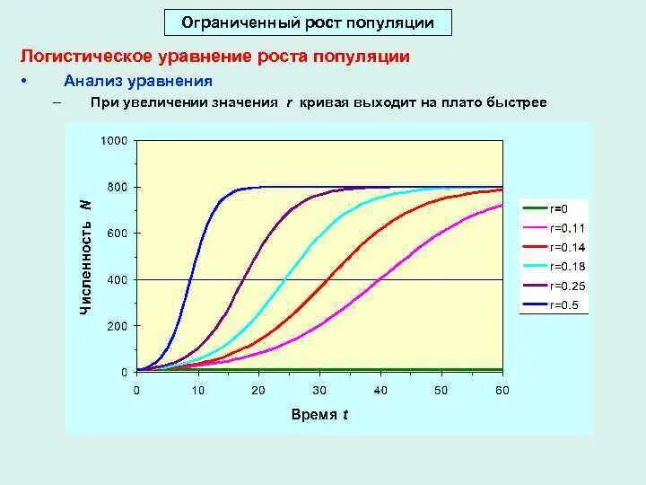 Факторы ограничивающие рост популяции. Уравнение логистического роста популяции. Ограниченный рост. Значение роста. Выход кривые.