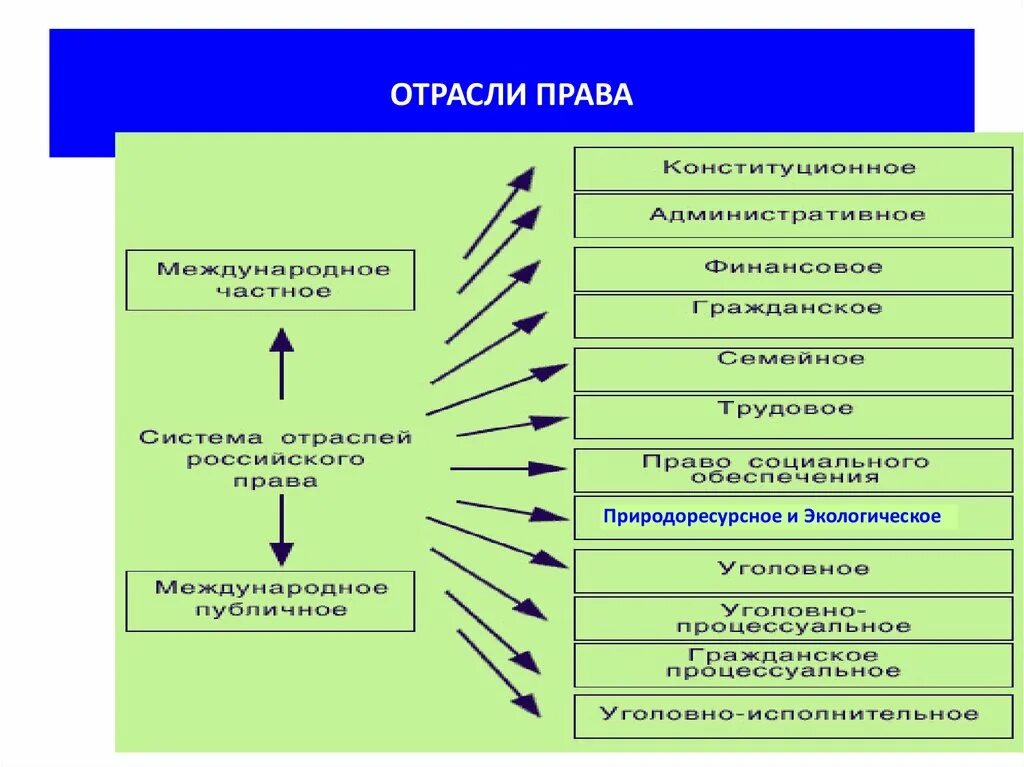 П отрасли право