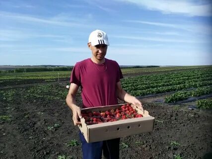 Фермер татарстан