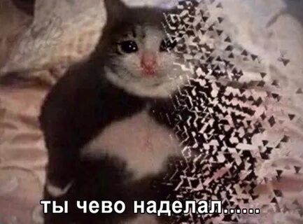 Что же ты наделал я тебя ждала
