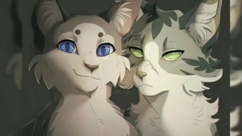 Коты воители голубка