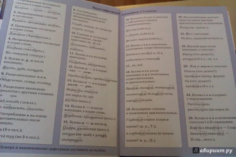 Учебник по русскому вторая часть 6 класс. Русский язык учебник с правилами. Что такое форзац учебника по русскому языку. Книга русский язык 6 класс. Книга русский язык 6 класс ладыженская.