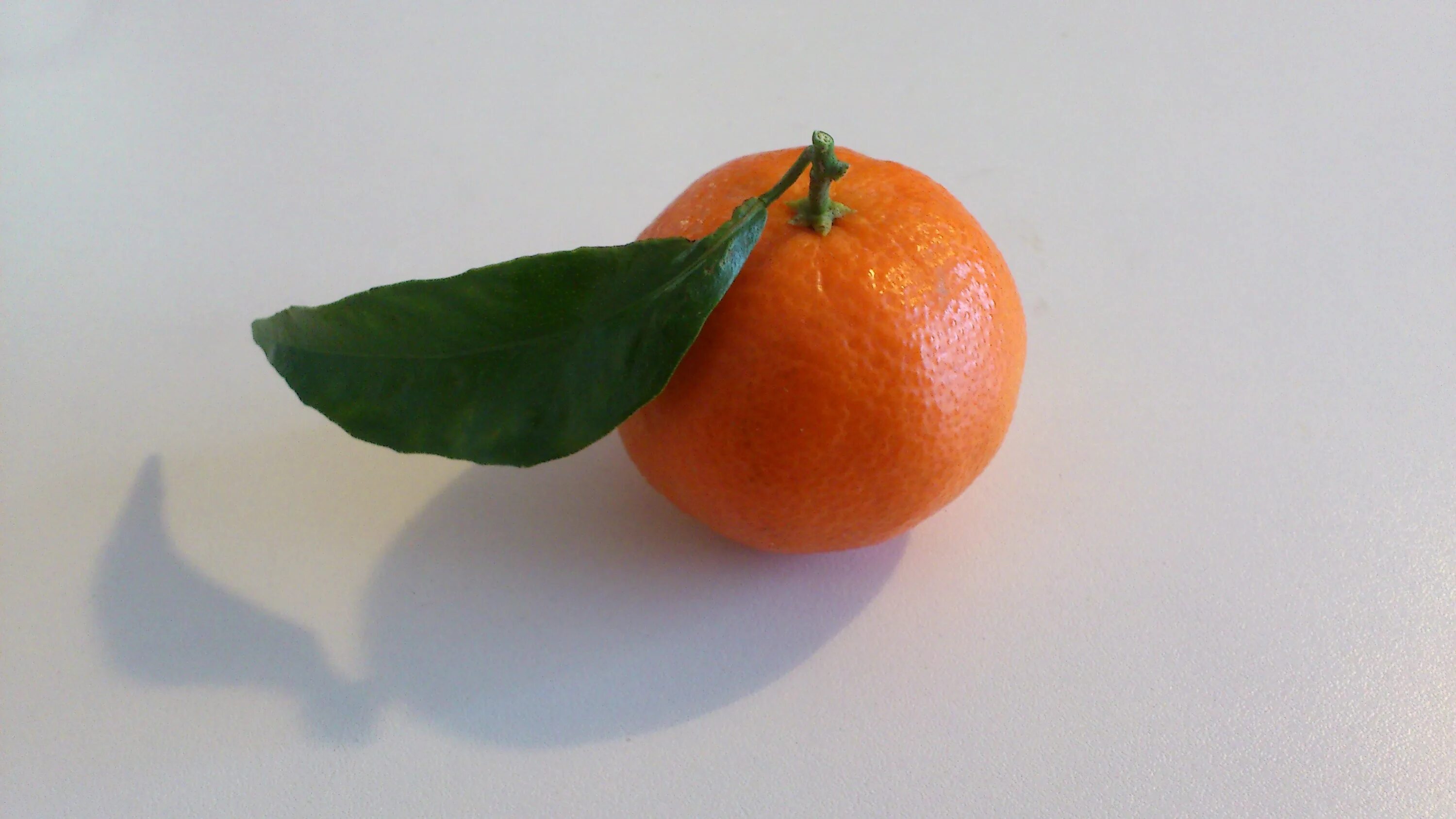 Лепка мандарины и апельсины. Мандарин (фрукт). Маленькие мандарины с листочками. Апельсины с листом.