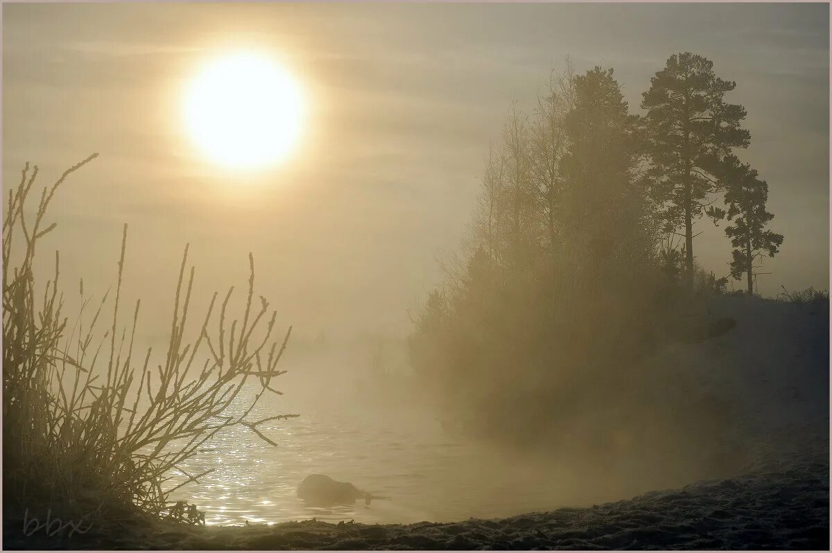 туманный горизонт. море туман. побережье в тумане. сыр туманный берег. берег в тумане.