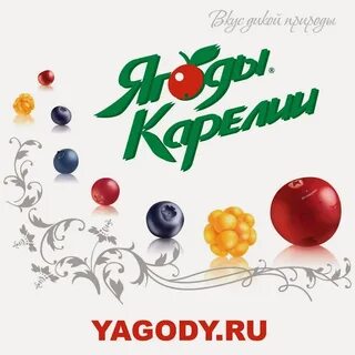 Ягода петрозаводск