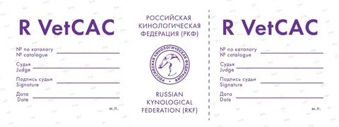 Экватор лида талон