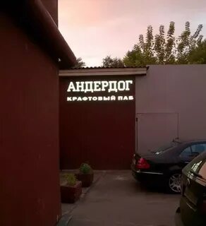 Андердог это