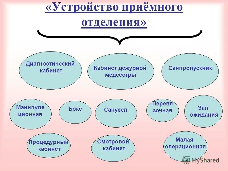 структура пр е ного отделения. структура работы приемного отделения. структура работы приемного отделения. роль приемного отделения. структура приемного отделения больницы схема.
