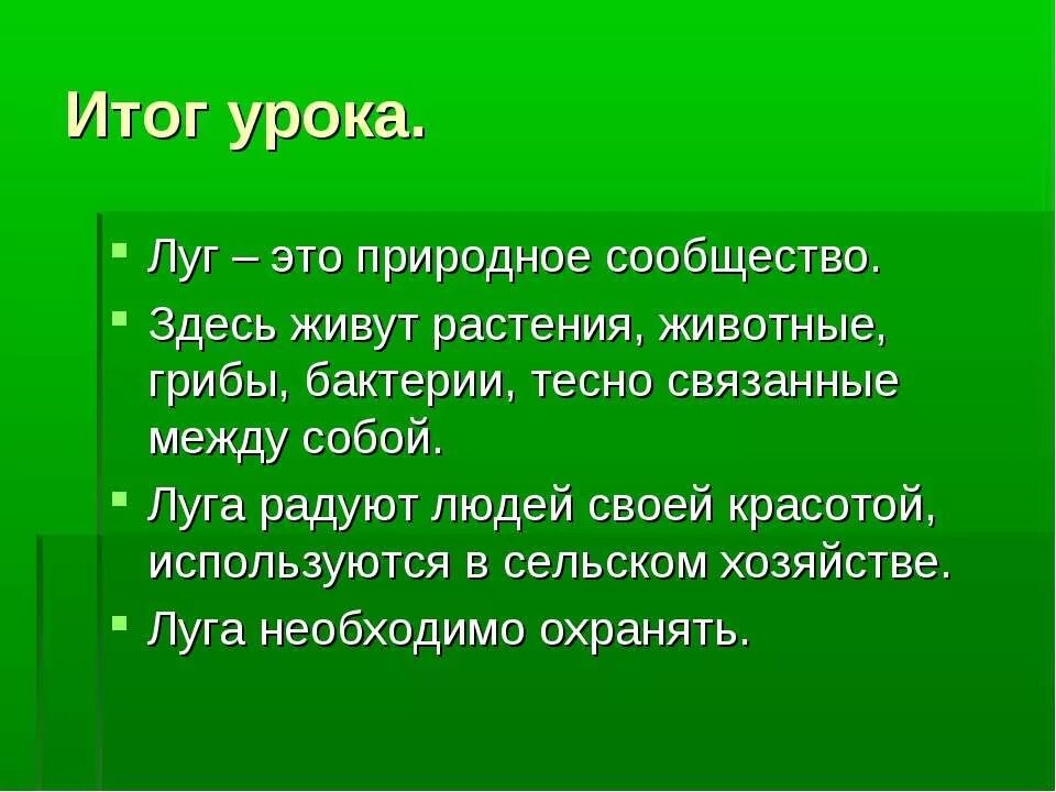 Характеристика природного сообщества Луга 4 класс окружающий мир. План изучения природного сообщества 4 класс луг. План изучения природного сообщества Луга. Природные сообщества Луга план.