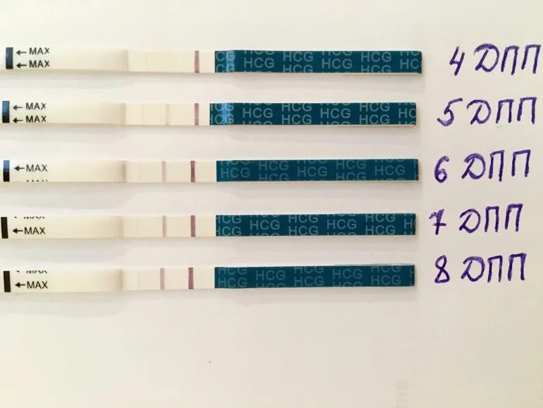 Тест на беременность после криопереноса 5. 4 ДПП тест. 4 ДПП криоперенос тест. Тесты после подсадки эмбрионов.