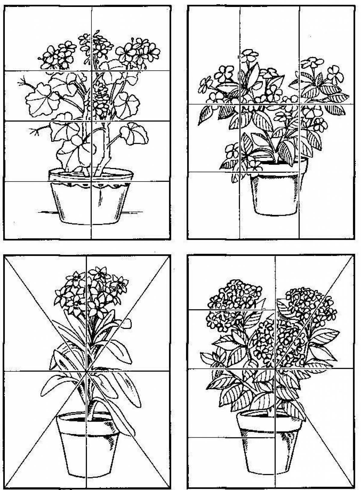 Игры на тему комнатные растения. Комнатные растения Нищева. Комнатные растения раскраска. Комнатное растение рисунок. Цветущие комнатные растения задания для дошкольников.