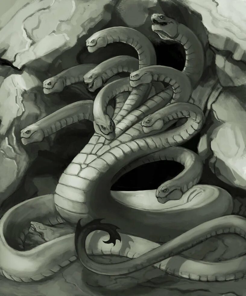 чудовище змея с шестью собачьими головами. сцилла и харибда. лернейская гидра дракон. сцилла древняя греция. сцилла и харибда монстры.