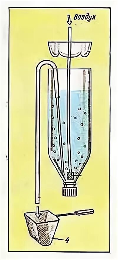 Артемия разведение. Инкубатор для науплии артемии. Размножение артемии. Артемия разведение в домашних условиях. Как развести артемию.