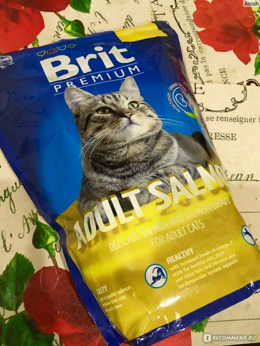 Кошки отзывы. Сладкий корм кот. Brit 800 грамм. Марвел корм кот. Корм для кошки которую зовут Люся.