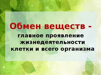 Обмен веществ главный признак жизни