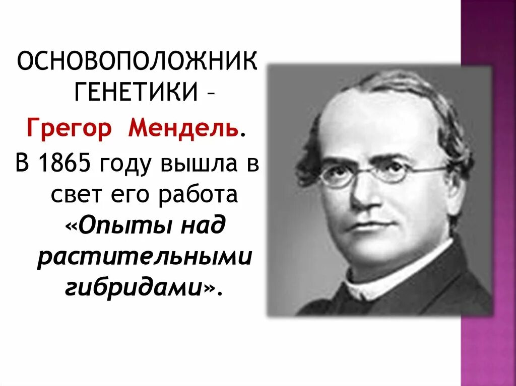 Менделем. Мендель морган. Зазакон моргана и мендалья. Мендель морган. Закон томаса моргана сцепленное наследование.