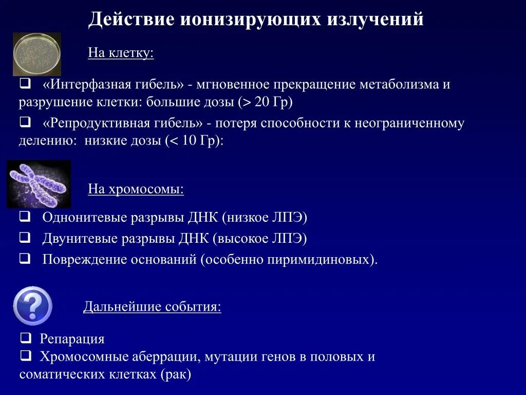 Действие ионизирующего излучения на клетку. Действие ионизирующей радиации на клетки. Влияние ионизирующего излучения. Воздействие ионизирующего излучения на клетку.