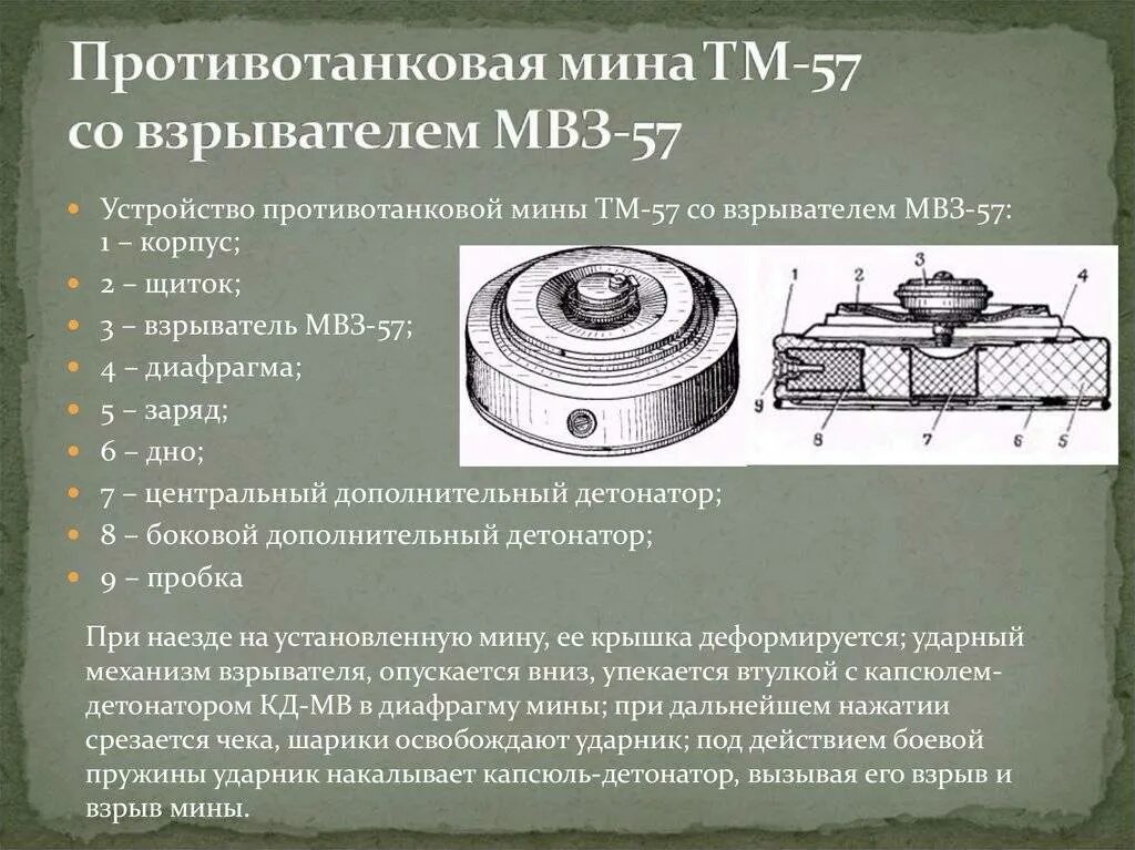 Противотанковая мина ТМ-57 со взрывателем МВЗ-57. ТМ-57 противотанковая мина ТТХ. Чертеж мины противотанковая ТМ-62м. ТТХ мины ТМ 57. Противотанковые и противопехотные мины