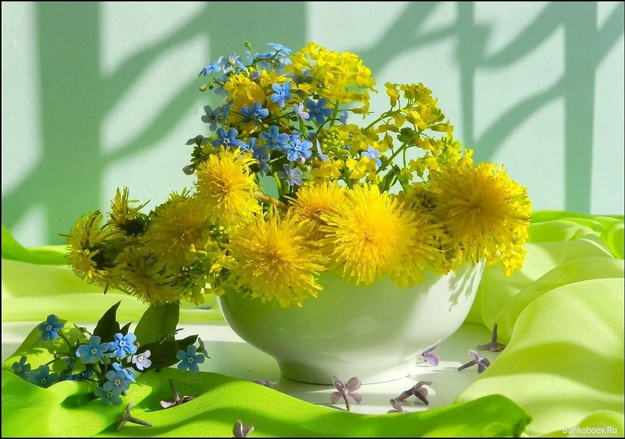 Солнечный цветок. Букет одуванчиков. Солнечные цветы букет. Летнее настроение. Прекрасного солнечного весеннего настроения