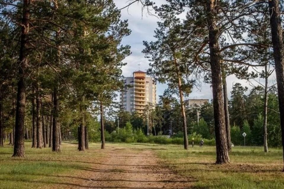 Северный лес город. Парк северный лес воронеж. Лес заполярья мурманск. Национальный парк банф растительность. Северные леса.